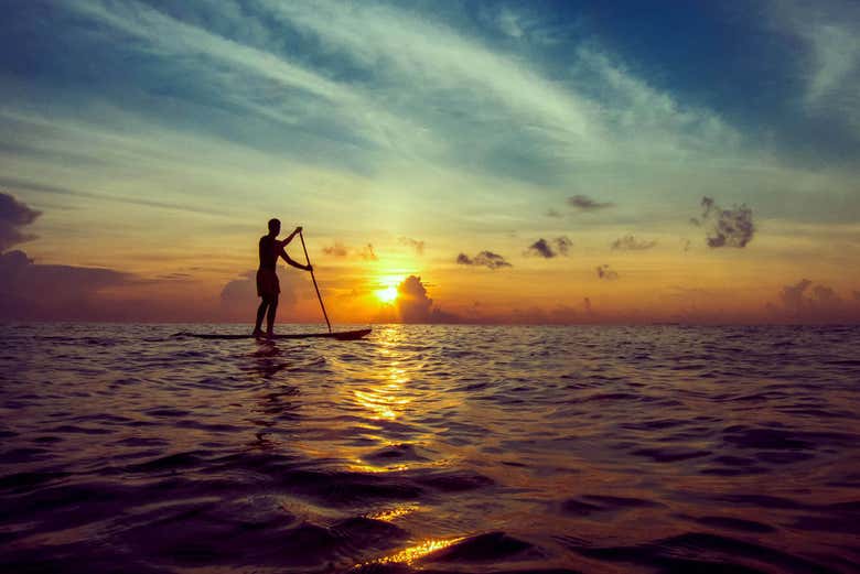 Paddle surfing at sunset in Marbella