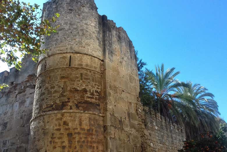 Castle of Marbella