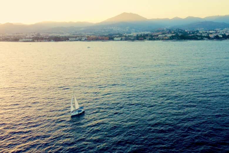 Sail the high seas