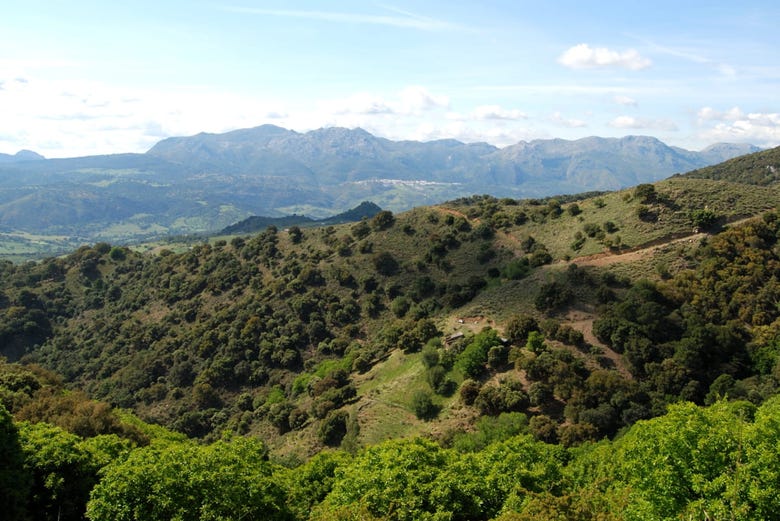 Panoramic views of the Sierra Bermeja