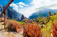 Masca Free Tour