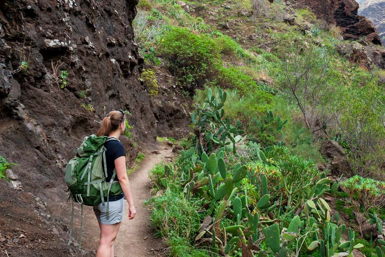 Enjoying the hiking trail through Masca