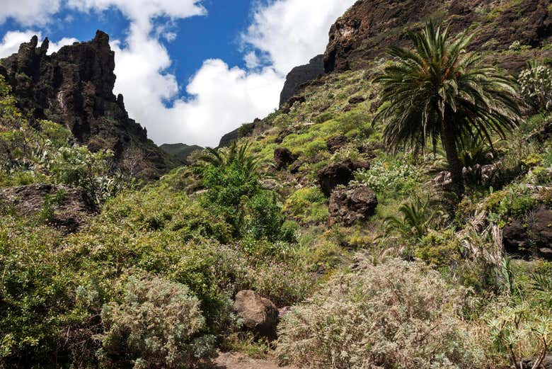 Trekking through the Masca Ravine