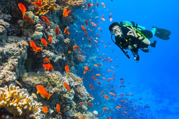 Batismo de mergulho em Gran Canaria