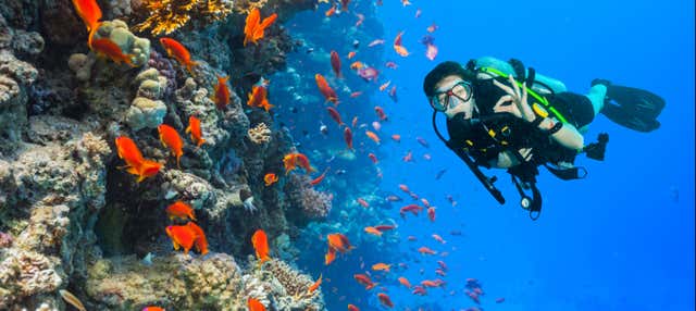Bautismo de buceo en Gran Canaria