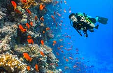 Bautismo de buceo en Gran Canaria