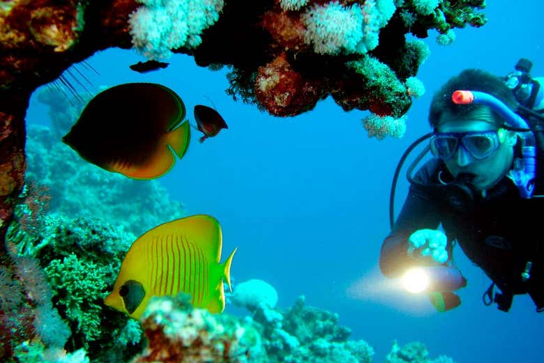 Mergulhando nas águas de Gran Canaria