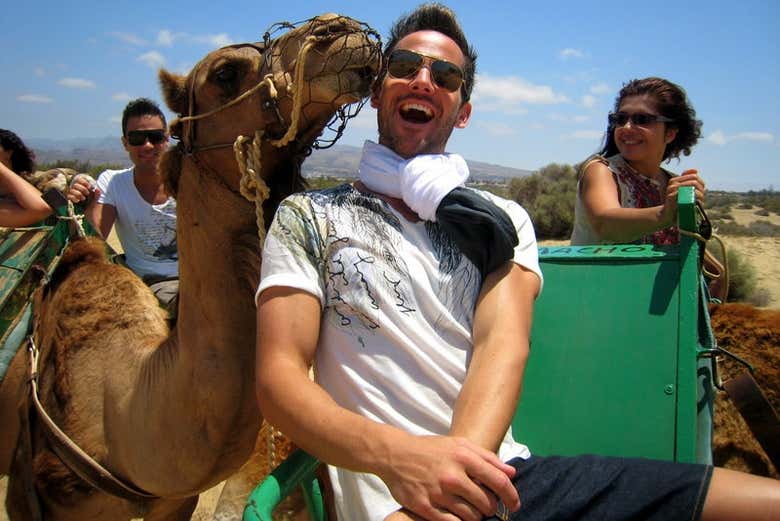 Chameau de Maspalomas