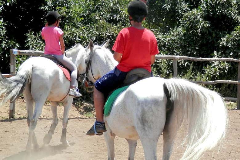 Los más pequeños en un poni