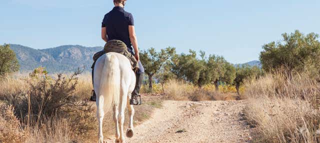 Paseo a caballo por El Salobre
