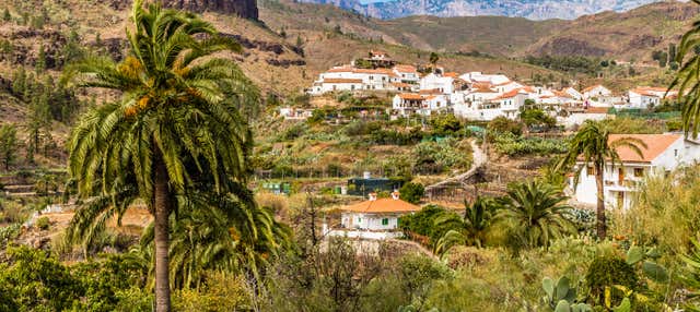 Gran Canaria Camel Ride Tour