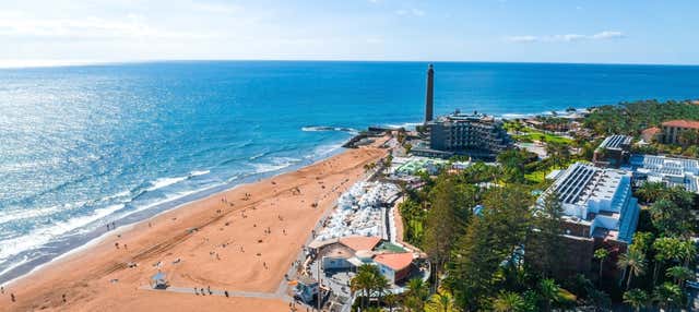 Tour en bicicleta por Maspalomas + Degustación de tapas