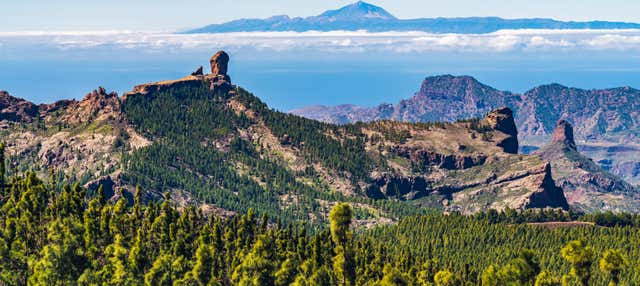 Tour de Gran Canaria al completo