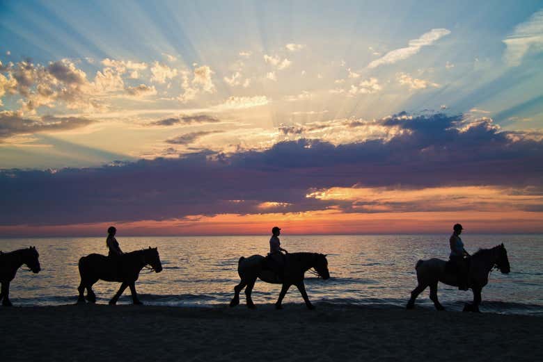 Admirez le coucher de soleil à cheval