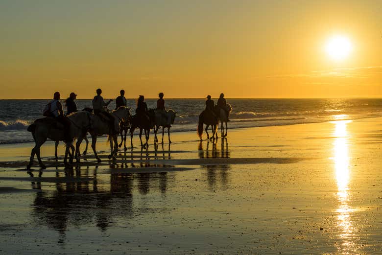 Balade à cheval à Doñana