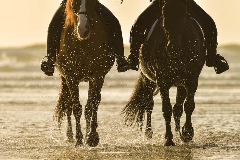 Au galop !