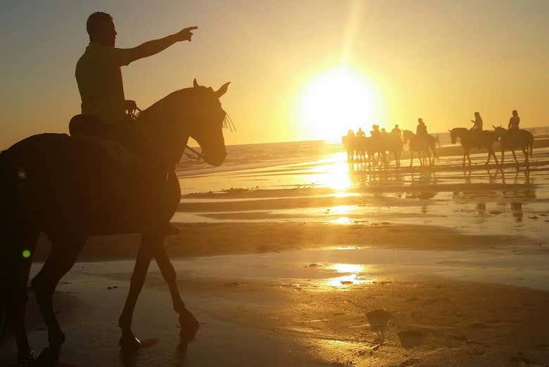 Profitez de la balade à cheval à Doñana