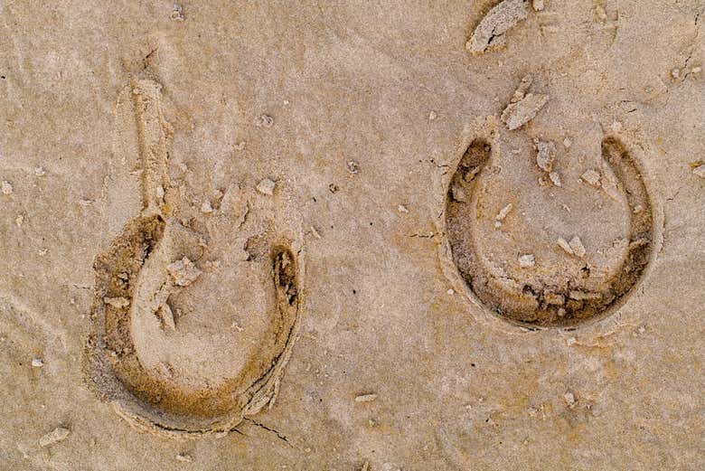 Empreintes dans le sable de la plage de Doñana