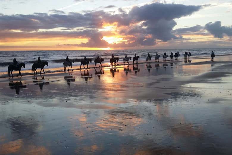 Plages préservées de Doñana au coucher de soleil