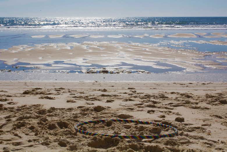 Trotting through one of Doñana's beaches