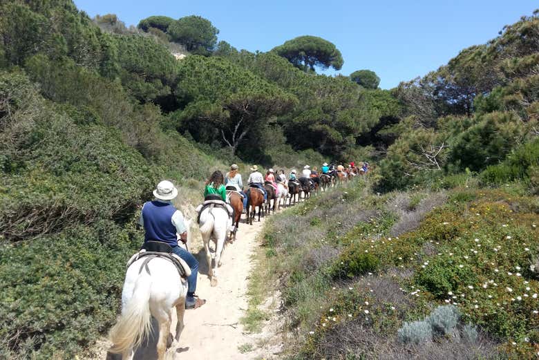 Doñana National Park