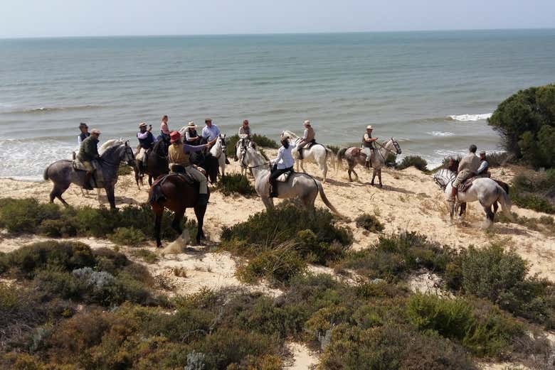 Enjoying the horseride