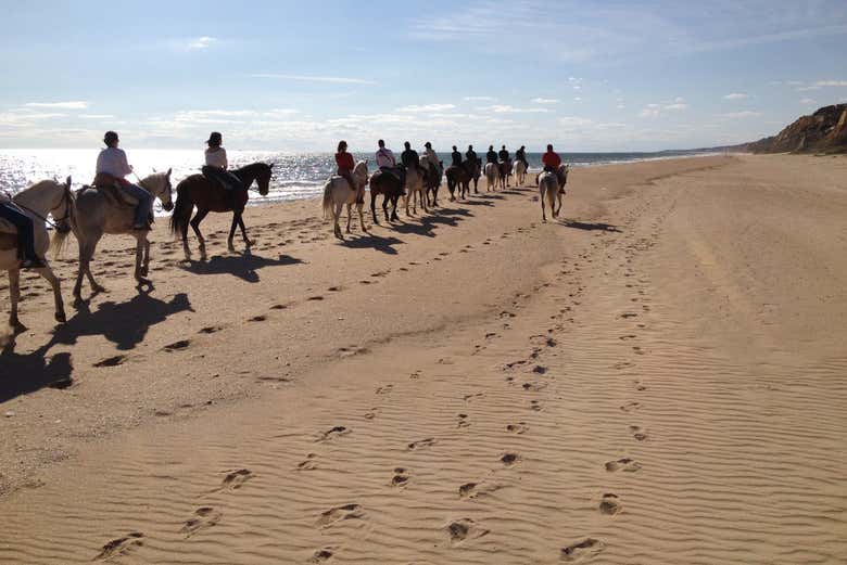 Itinéraire équestre dans le Parc National de Doñana