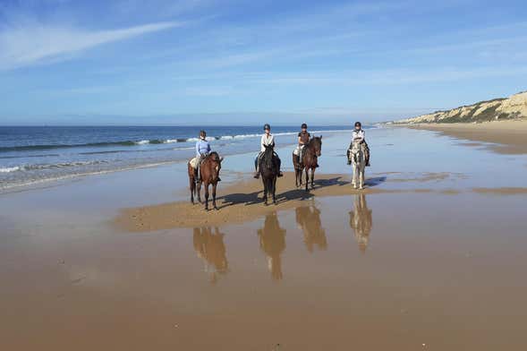 Balade à cheval à Doñana