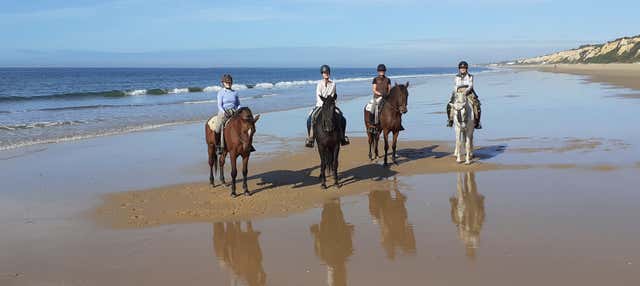 Paseo a caballo por Doñana
