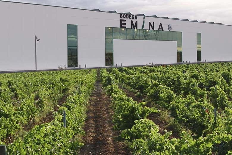 Visitez le domaine Emina Rueda