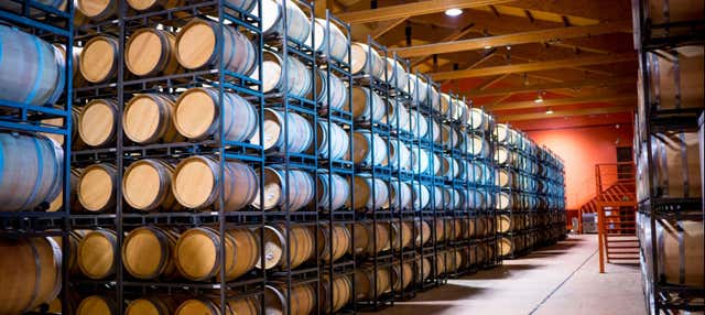 Visita a la Bodega Emina Rueda