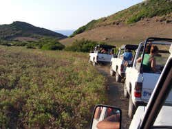 Jeep Safari dans Minorque