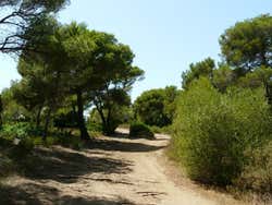 Camino a Cala Macarella