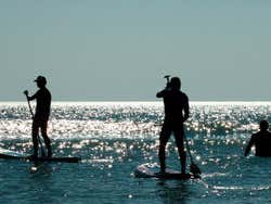 Paddle