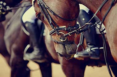 Courses de chevaux à Minorque