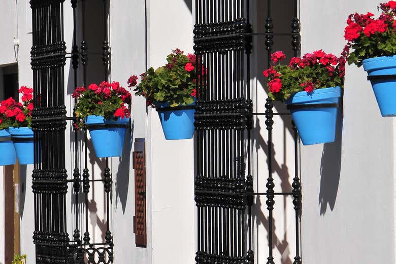 Flores en las casitas de Mijas