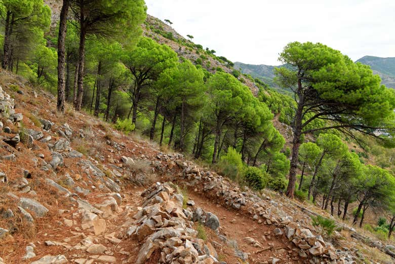 I paesaggi montani della Sierra de Mijas