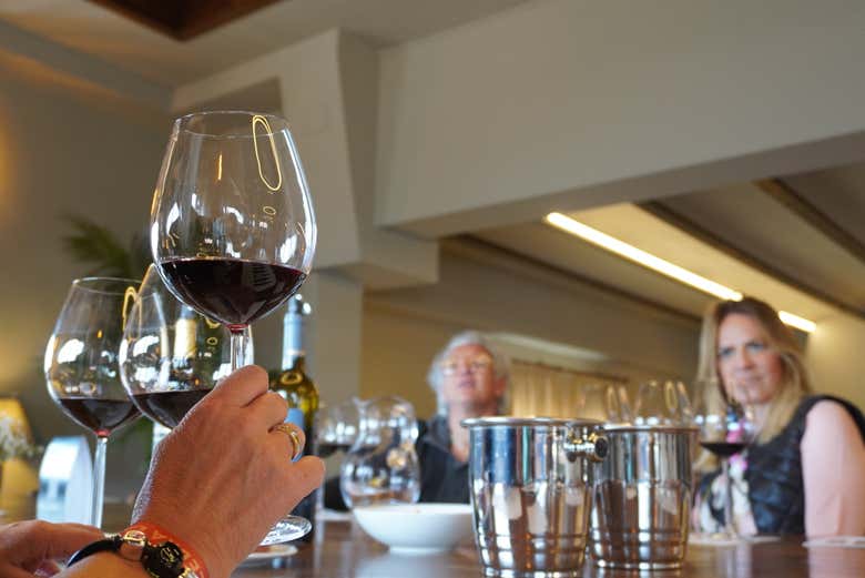 Analizando el vino durante la cata