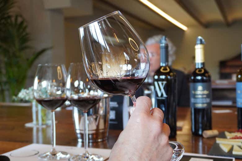 Mirando la lágrima del vino