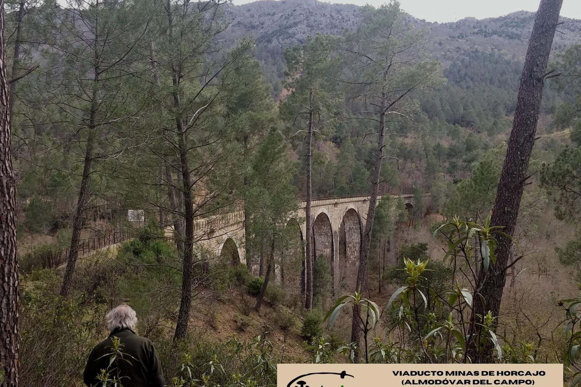 Senderismo por Minas del Horcajo