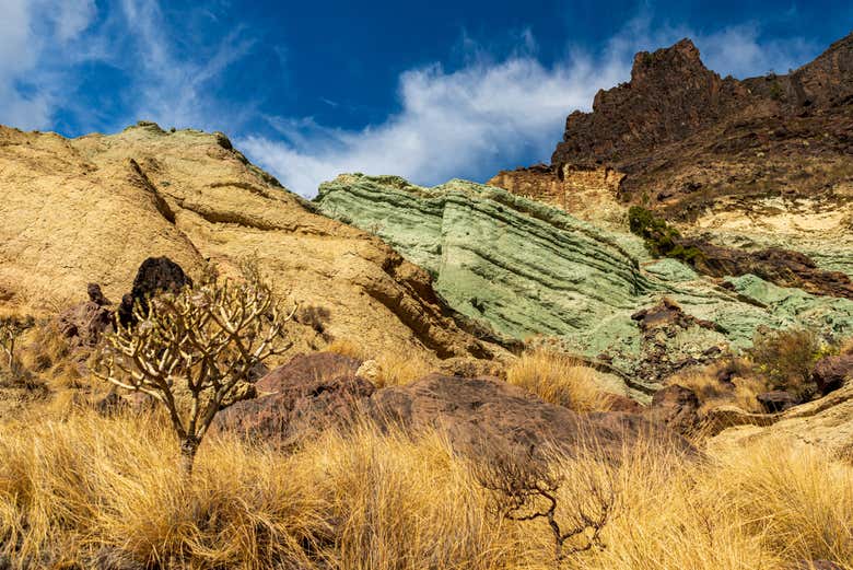 Trekking a Los Azulejos de Veneguera