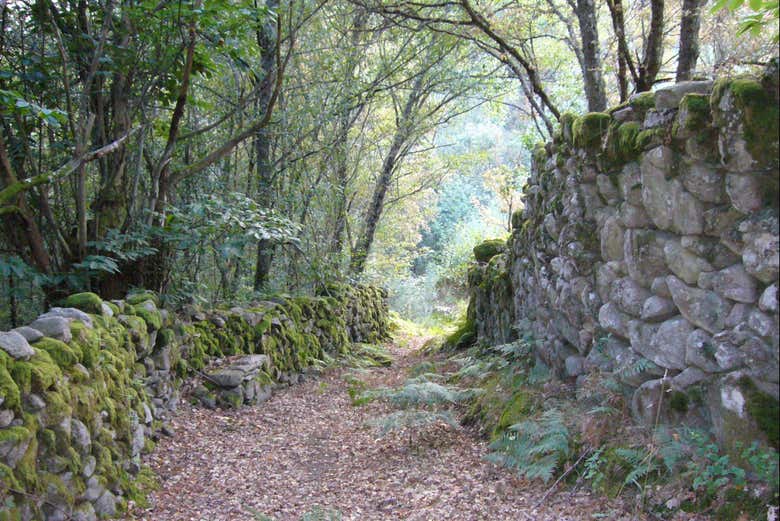 Disfrutando de los caminos de la Ribeira Sacra