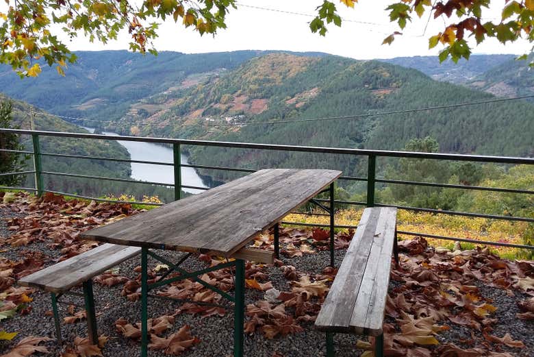 Mirador hacia el río Miño