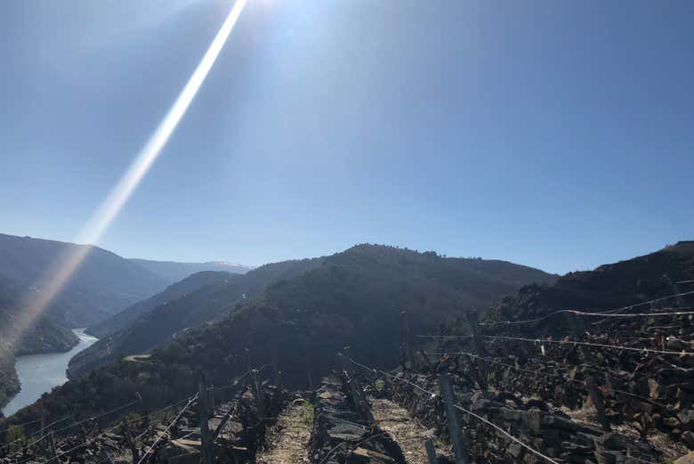 Paisajes en la zona de Puebla de Brollón