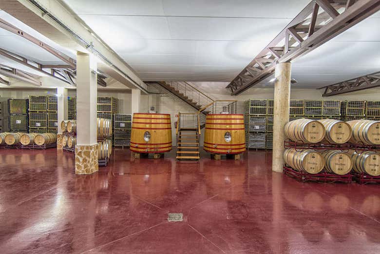 Sala delle botti