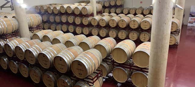 Visita a la bodega Mont Reaga