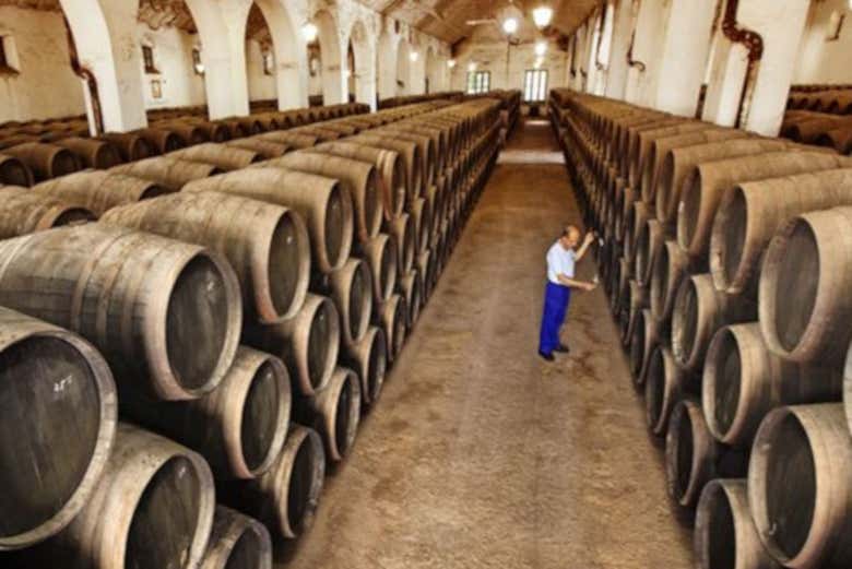 Barricas de la bodega Pérez Barquero