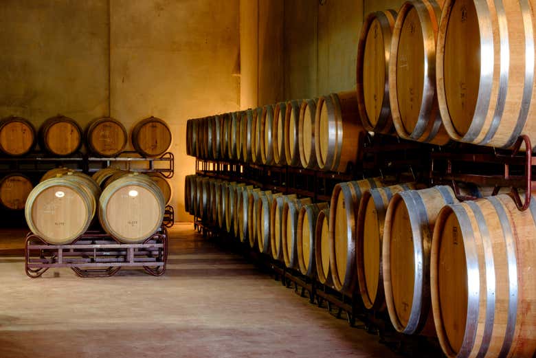 Barricas de vino en la bodega