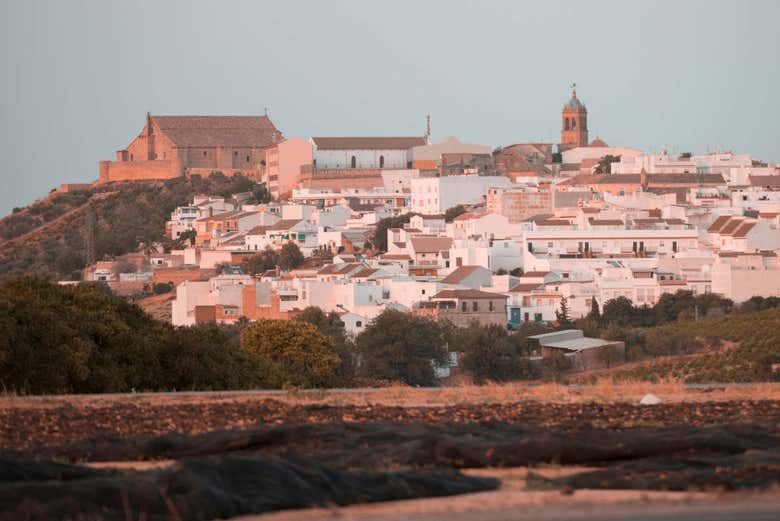 Vue panoramique sur Montilla