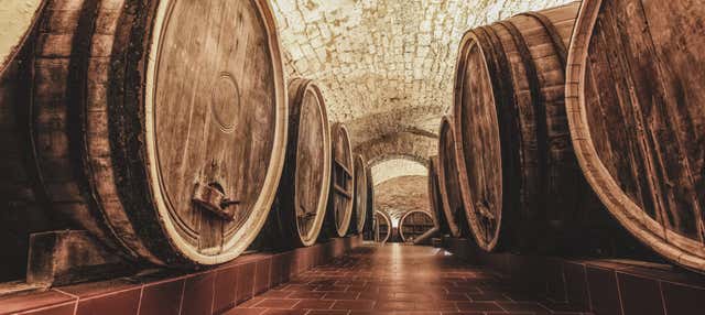Visita a la bodega Pérez Barquero